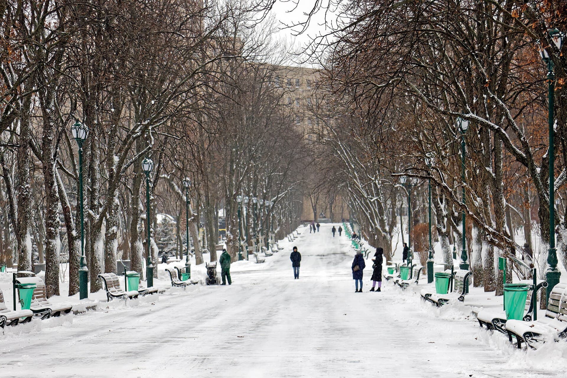 Сад имени Шевченко зимой (Wikimedia Commons)